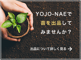 YOJO-NAEで苗を出品してみませんか？