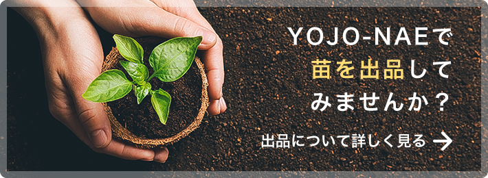 YOJO-NAEで苗を出品してみませんか？