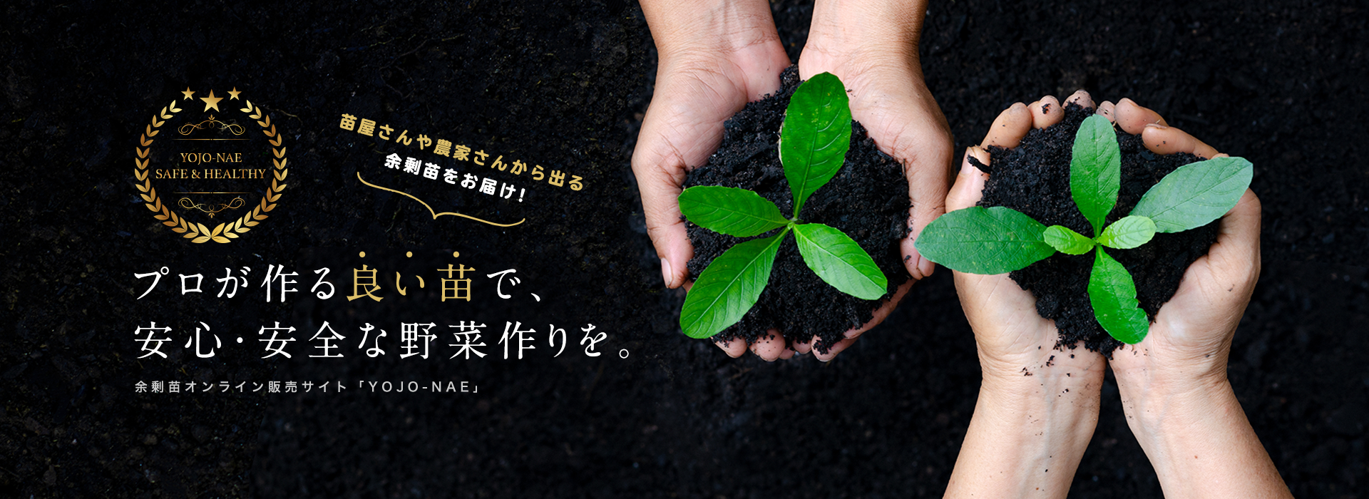 プロが作る良い苗で、安心・安全な野菜作りを